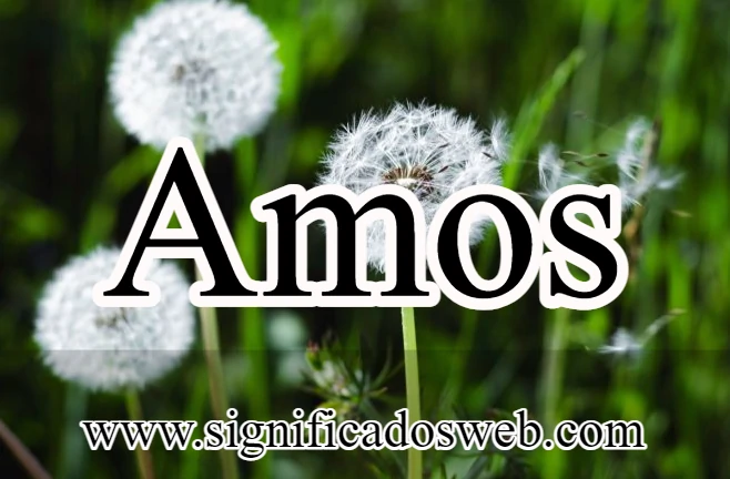 Significado del nombre de Amos ✔️