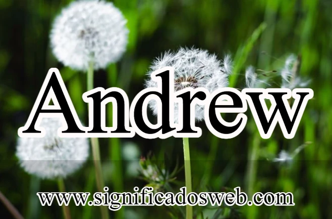 Significado del nombre de Andrew ✔️