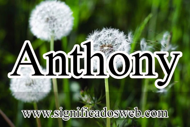 Significado del nombre de Anthony ✔️