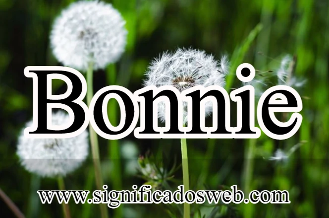 Significado del nombre Bonnie ✔️