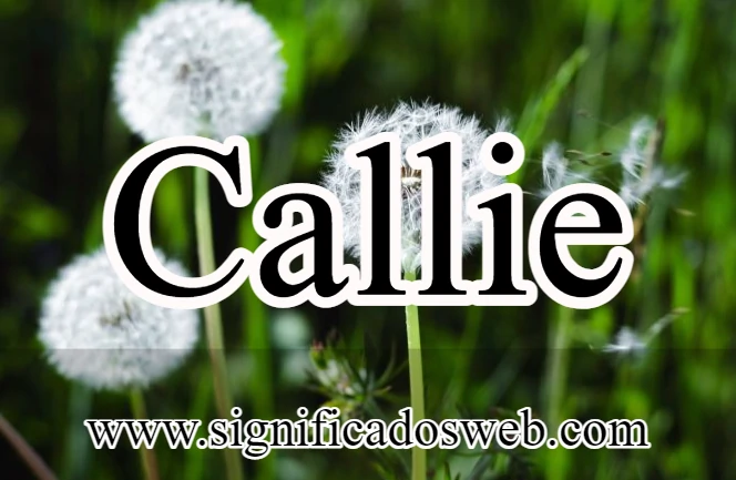 Significado del nombre Callie ✔️