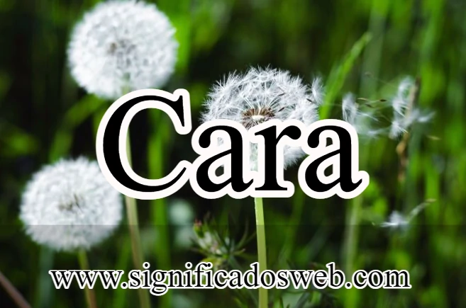 Significado del nombre Cara ✔️