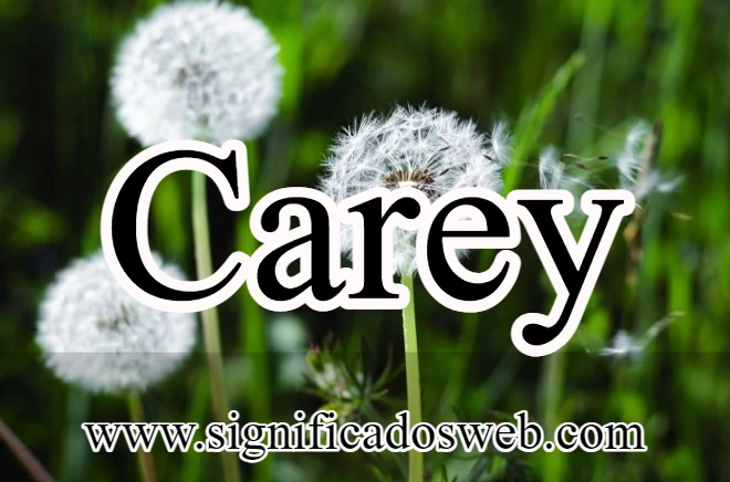 Significado del nombre Carey ✔️