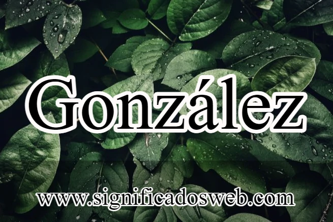 Significado del nombre González ✔️