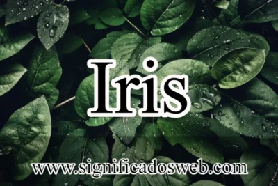 Significado del nombre Iris ✔️