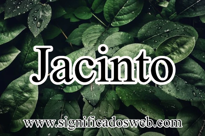 Significado del nombre Jacinto ✔️