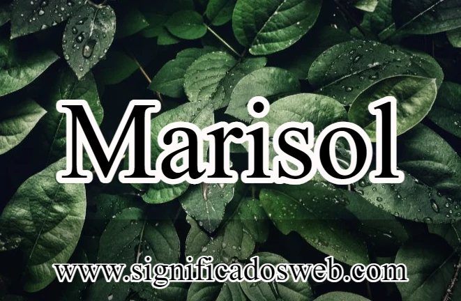 Significado del nombre Marisol ✔️