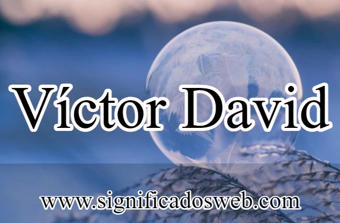 Significado del nombre Víctor David ✔️