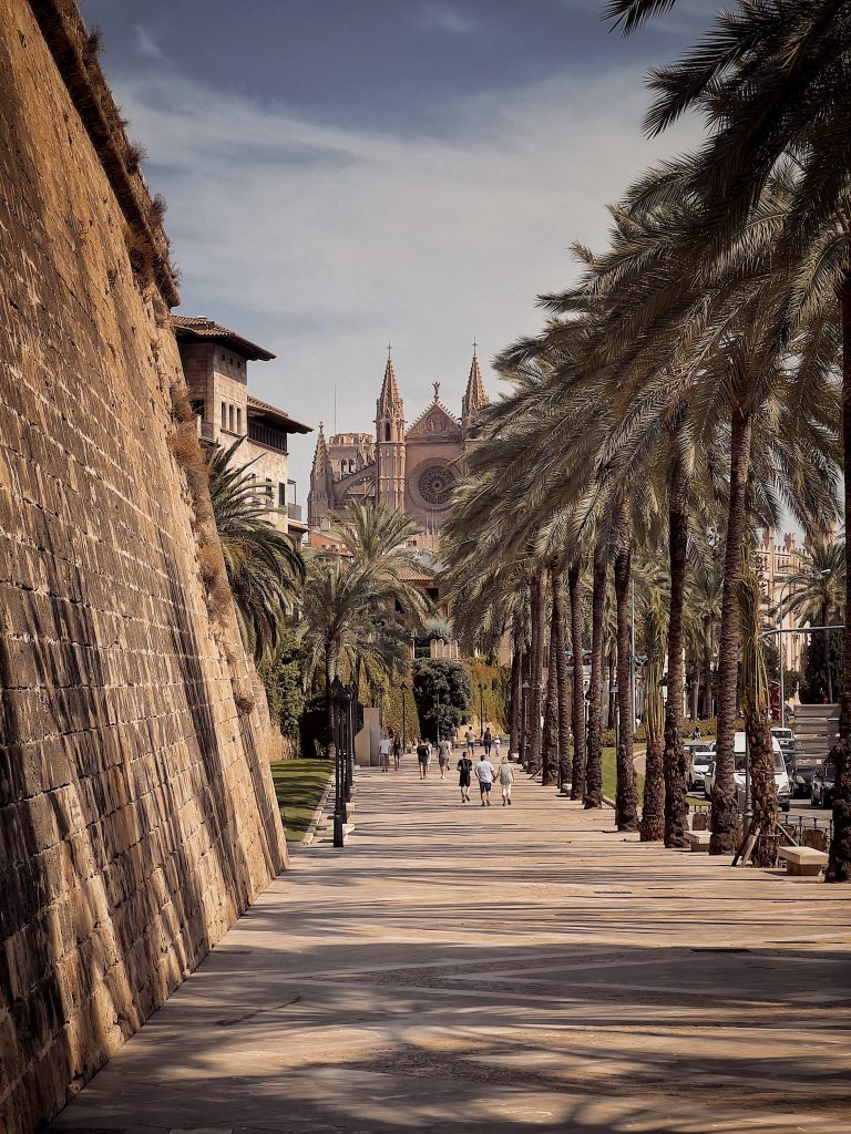 Significado del apellido Palma ✔️