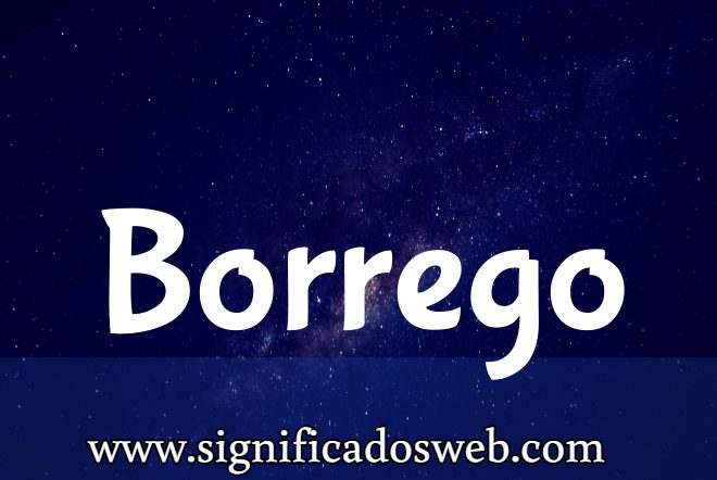 Significado del apellido Borrego ✔️