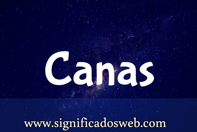 Significado del apellido Canas ✔️