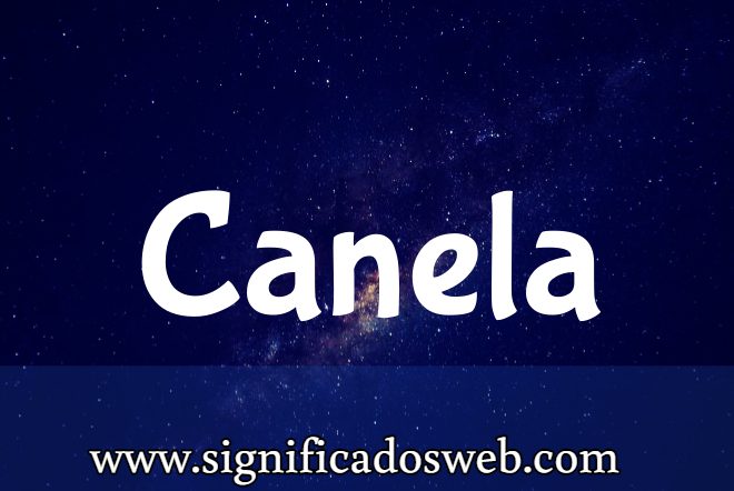 Significado del apellido Canela ✔️