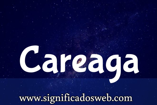 Significado del apellido Careaga ✔️
