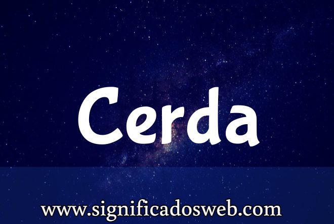 Significado del apellido Cerda ✔️