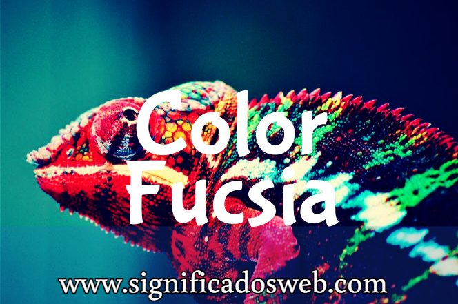 Significado del color Fucsia ✔️