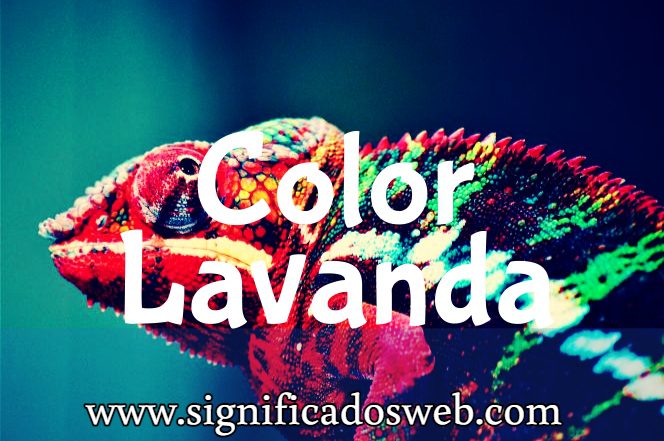 Significado del color Lavanda ✔️