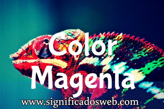 Significado del color Magenta ✔️