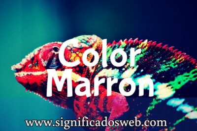 Significado del color Marrón ✔️