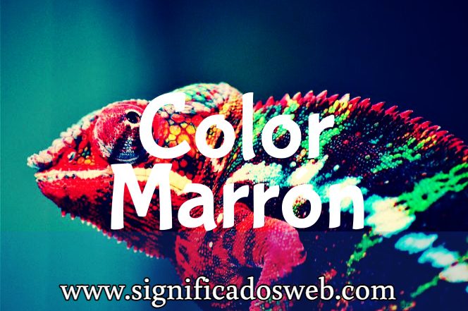 Significado del color Marrón ✔️