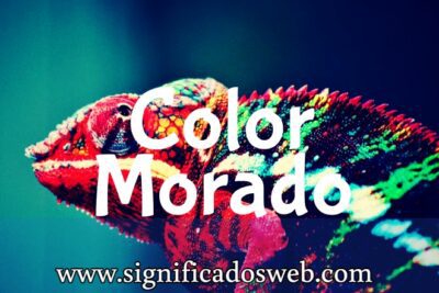 Significado del color Morado ✔️