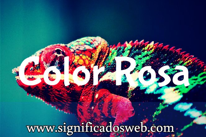 Significado del color Rosa ✔️