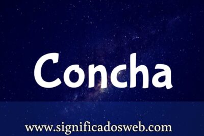 Significado del apellido Concha ✔️
