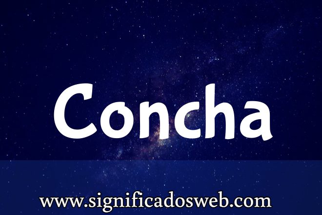 Significado del apellido Concha ✔️