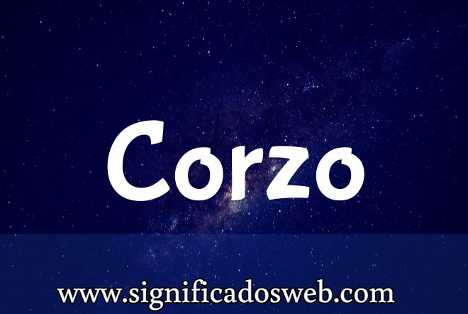 Significado del apellido Corzo ✔️