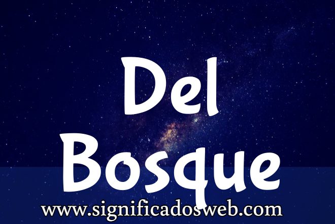 Significado del apellido Del Bosque ✔️