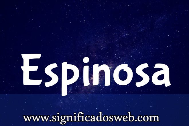 Significado del apellido Espinosa ✔️