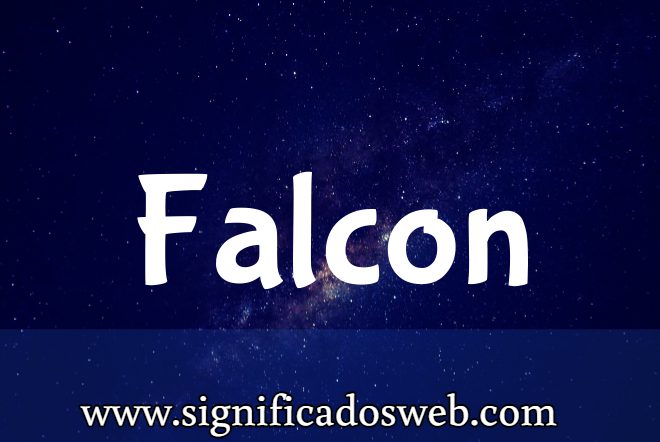 Significado del apellido Falcon ✔️