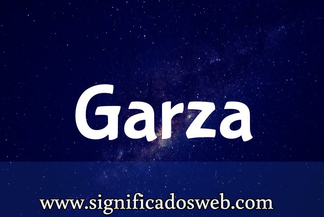 Significado del apellido Garza ✔️