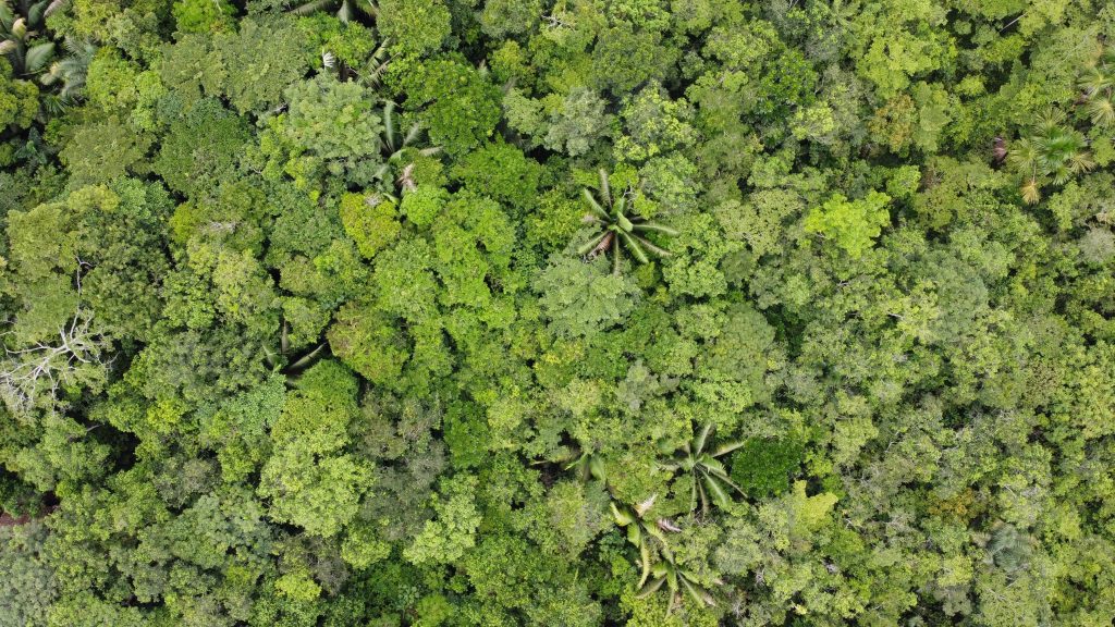 Significado del nombre Juan Bautista ✔️