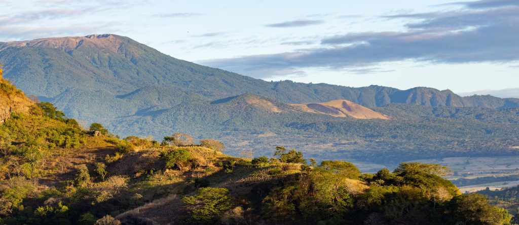 Significado del nombre Salvador ✔️