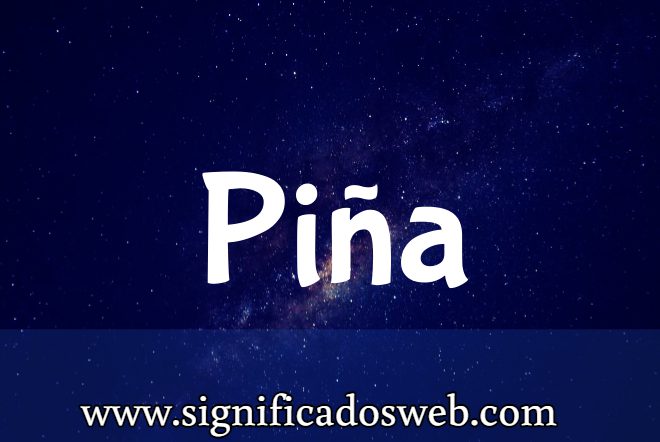 Significado del apellido Piña ✔️