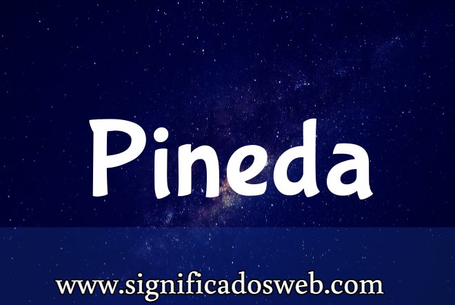 Significado del apellido Pineda ✔️