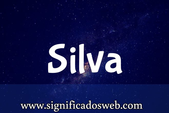 Significado del apellido Silva ✔️