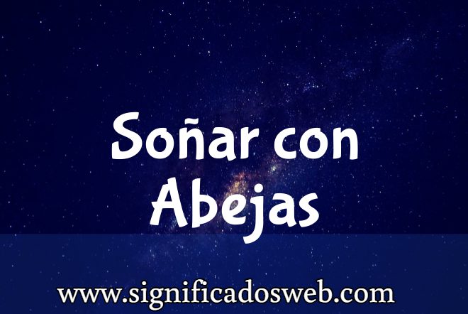 Significado de Soñar con Abejas ✔️