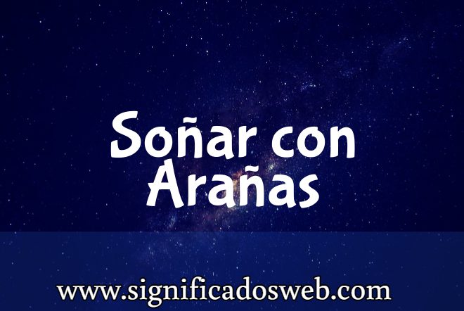 Significado de Soñar con Arañas ✔️