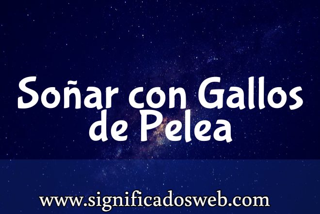 Significado de Soñar con Gallos de Pelea ✔️