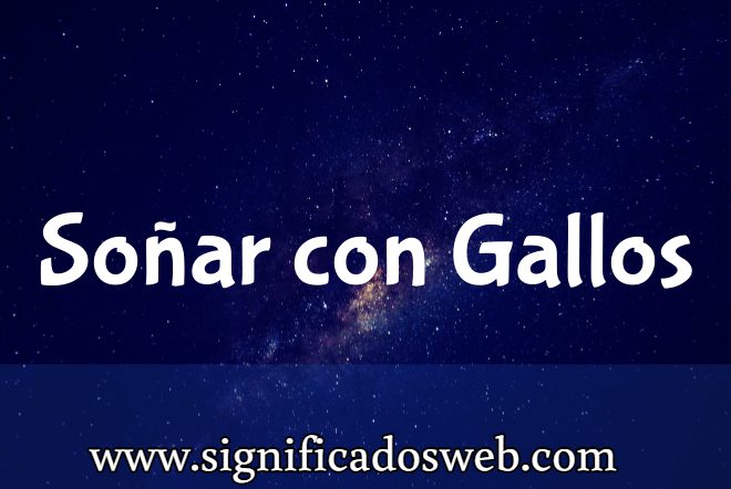 Significado de Soñar con Gallos ✔️