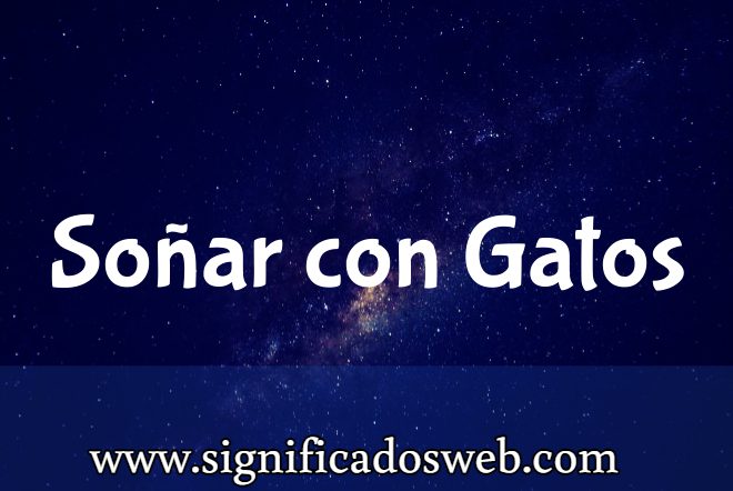 Significado de Soñar con Gatos ✔️
