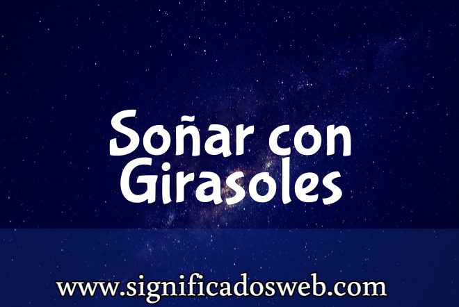 Significado de Soñar con Girasoles ✔️