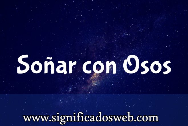 Significado de Soñar con Osos ✔️
