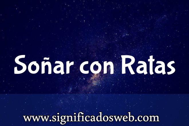 Significado de Soñar con Ratas ✔️