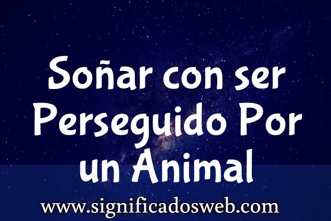 Significado de Soñar con ser Perseguido Por un Animal ✔️