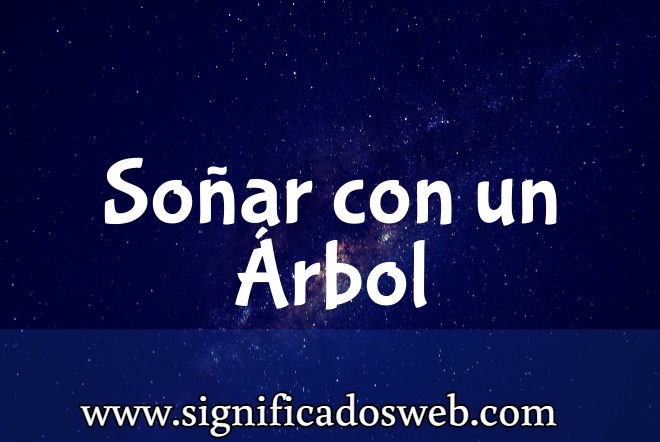 Significado de Soñar con un Árbol ✔️