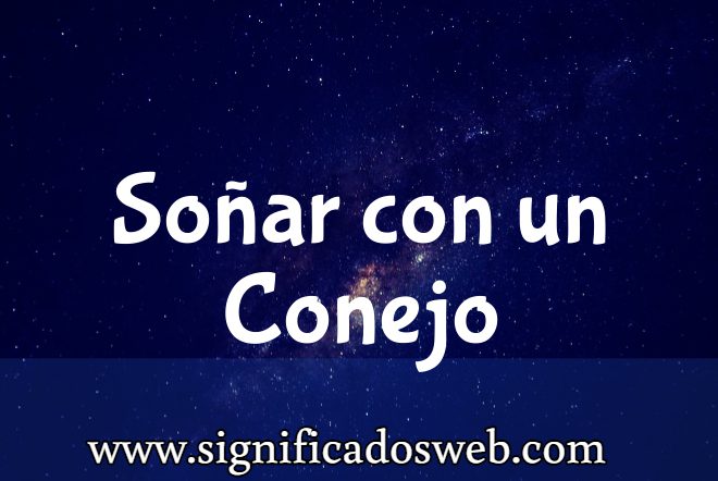 Significado de Soñar con un Conejo ✔️