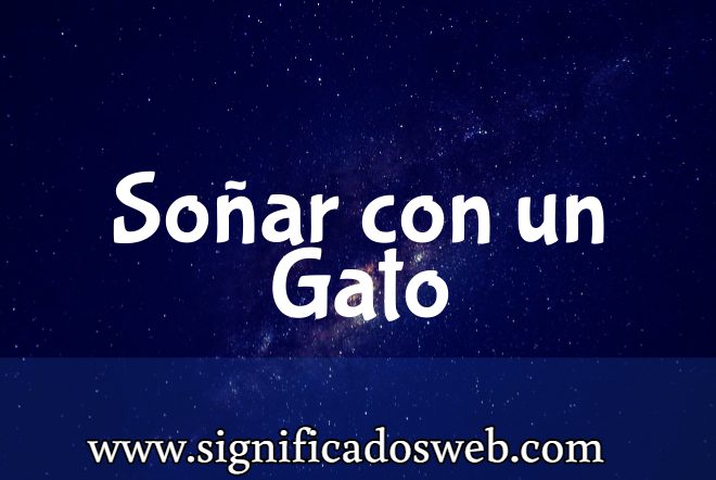 Significado de Soñar con un Gato ✔️