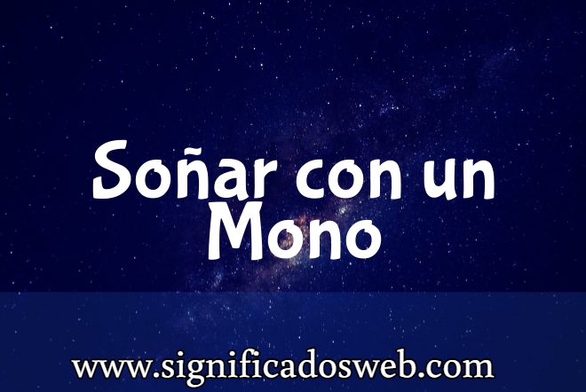 Significado de Soñar con un Mono ✔️
